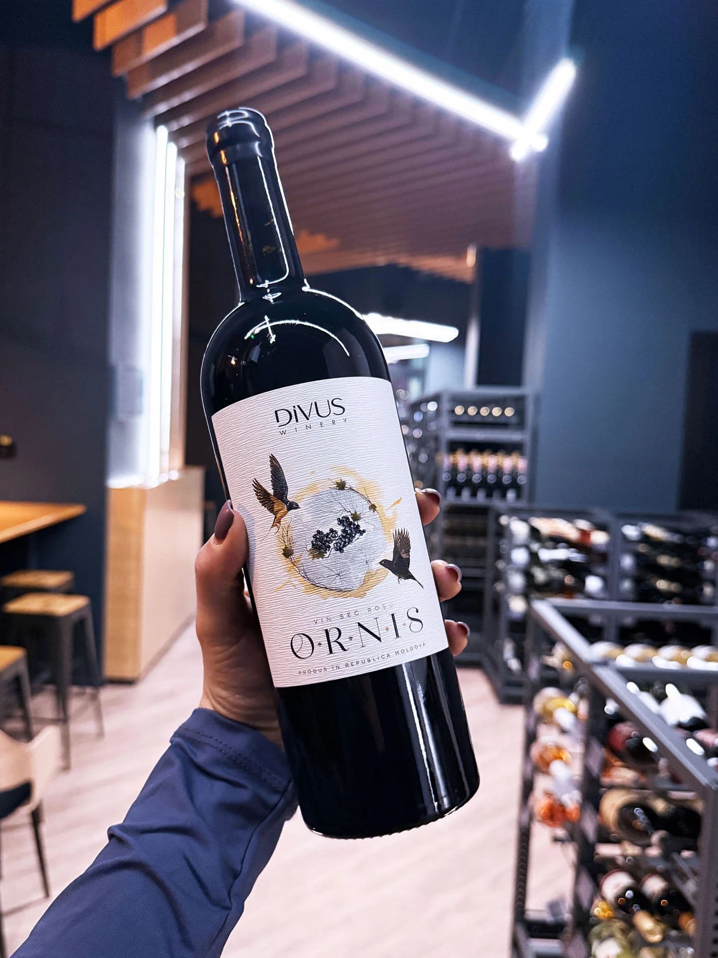 https://cdn.ascentwine.ro/image/resizedwebp/catalog/evenimente/eveniment-divus/ascent_wine_bistro_eveniment_012-1440x1920.webp